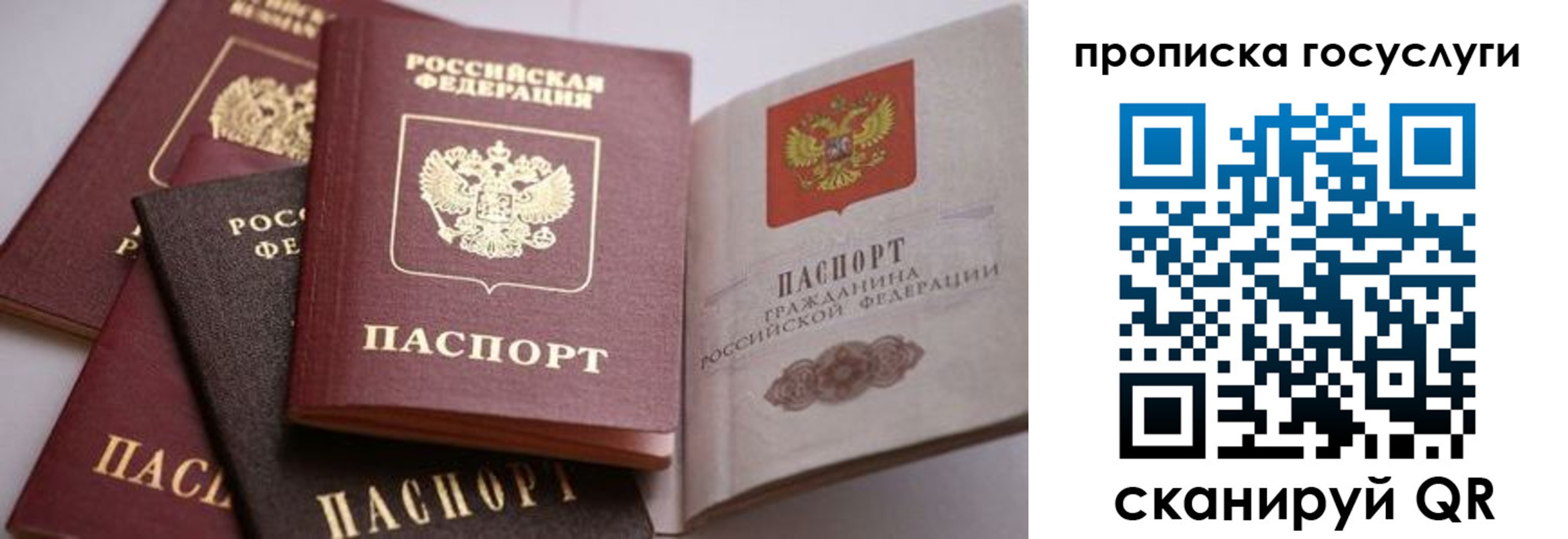 прописка иностранных граждан в Кимовске