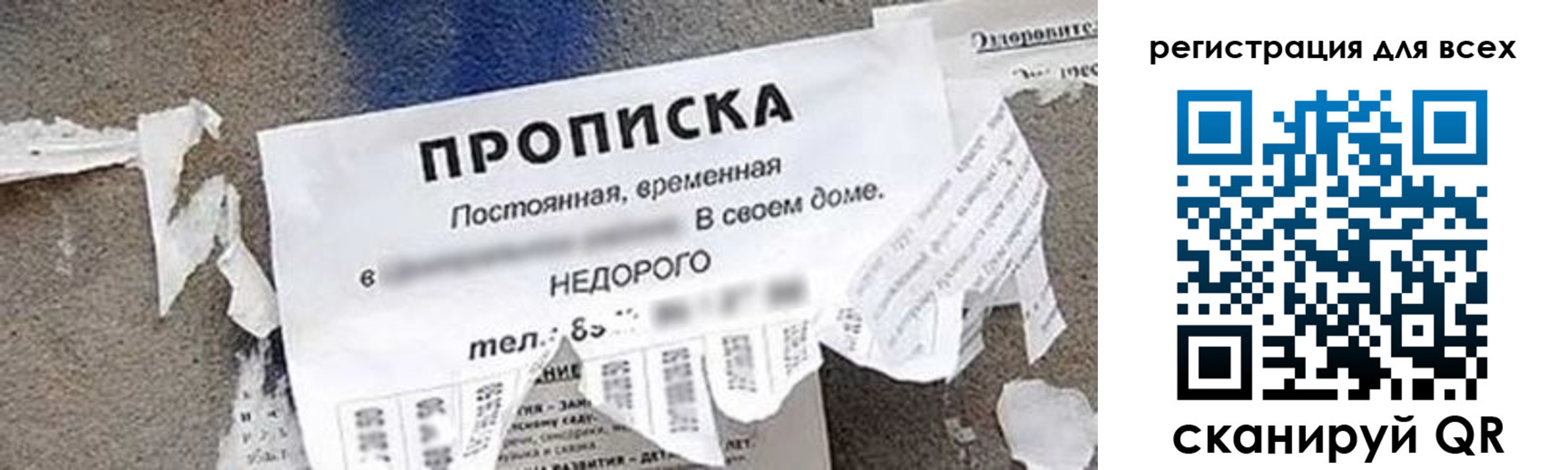 прописка поиск в Кимовске